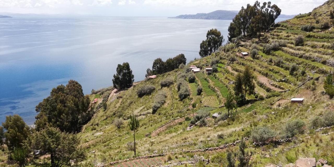 Taquile Hospedaje Mario Huillanopampa 외부 사진